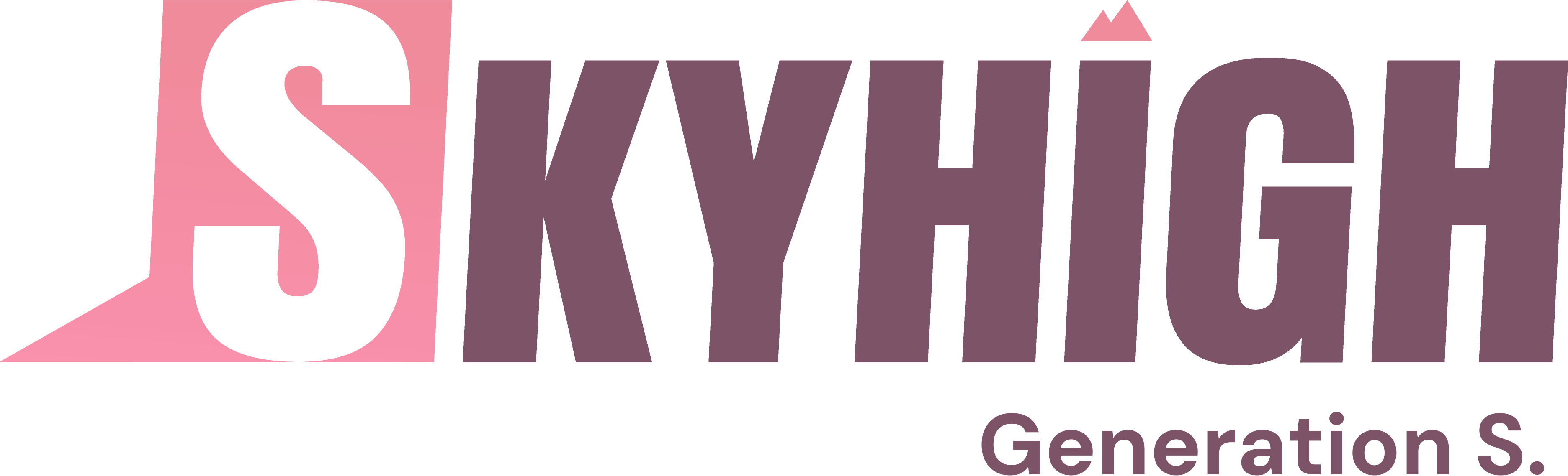 Skyhigh Sales
